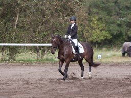 IMG_7936_web